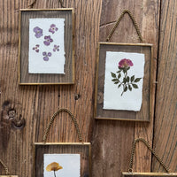 Colección cristal tamaño mediano