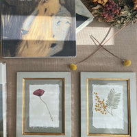 Colección Montparnasse