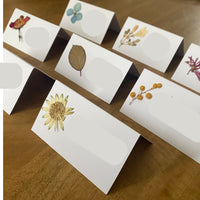 Marcasitios botánicos X4