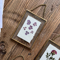 Colección cristal tamaño mediano