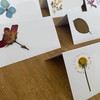 Marcasitios botánicos X4