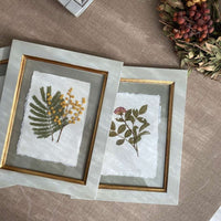 Colección Montparnasse