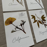 Colección 4 láminas