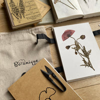 Pack : Prensa botánica mediana con tijeras, pinzas y recambios papel secante