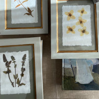 Colección Montparnasse