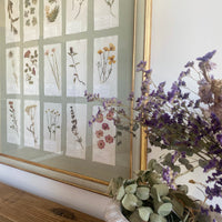 Colección Montparnasse