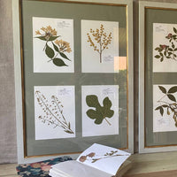 composicion herbario