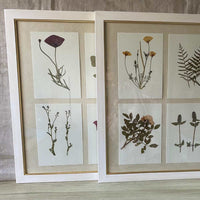 Composición de 4 láminas