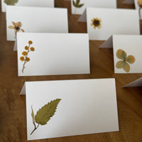 Marcasitios botánicos X4