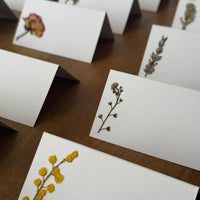 Marcasitios botánicos X4