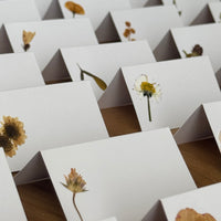 Marcasitios botánicos X4