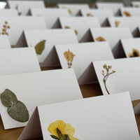 Marcasitios botánicos X4