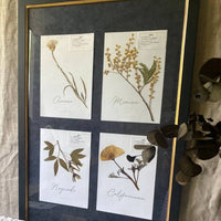 composicion herbario