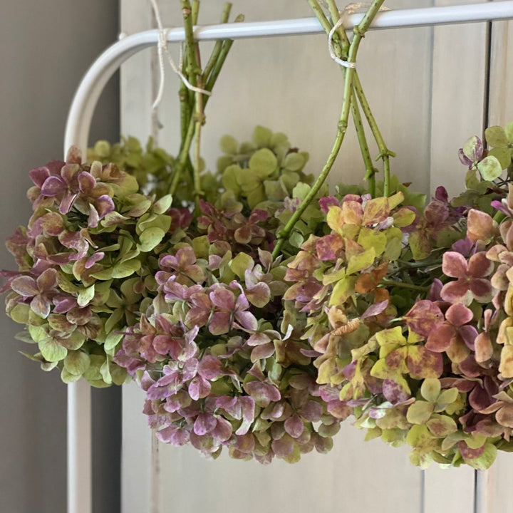¿Cómo se conserva el color de las flores prensadas?