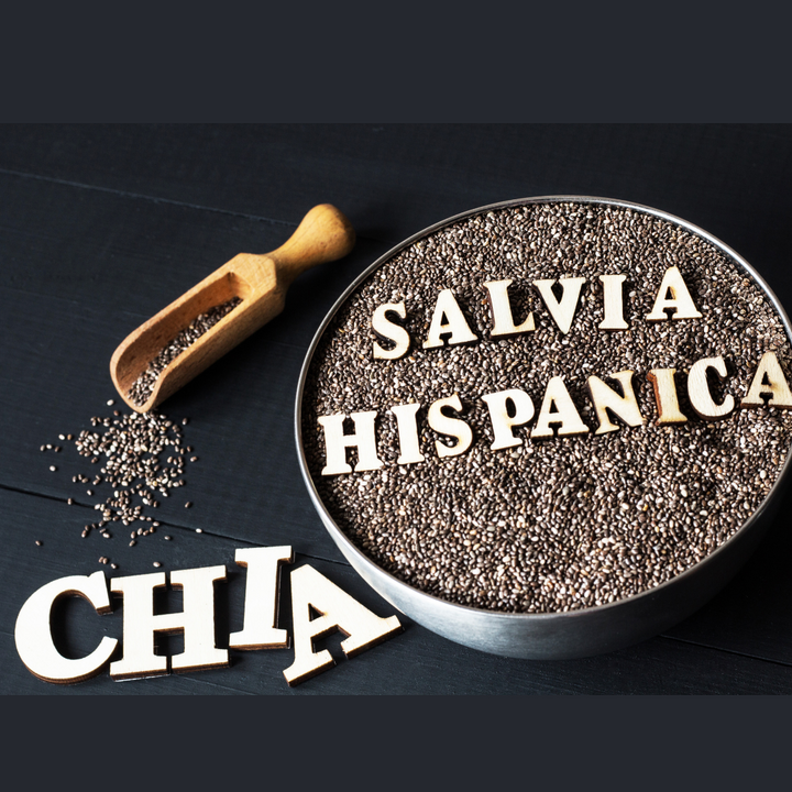 ¿Chía por aquí, chía por allá... pero alguna vez te has preguntado de dónde viene?