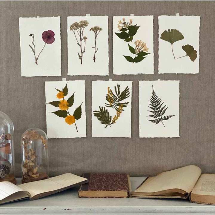 7 Ideas para decorar con láminas botánicas
