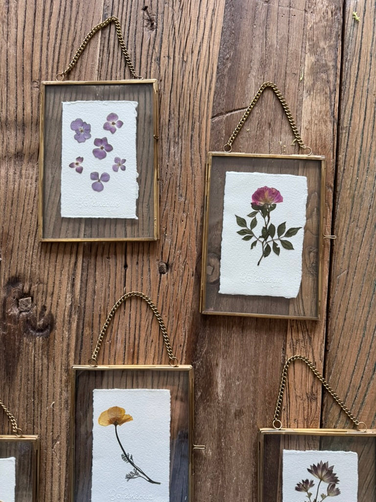 Colección cristal tamaño mediano