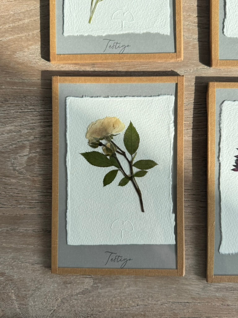 ¿Quieres ser mi  testigo ? Enmarcado