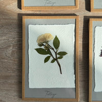 ¿Quieres ser mi  testigo ? Enmarcado