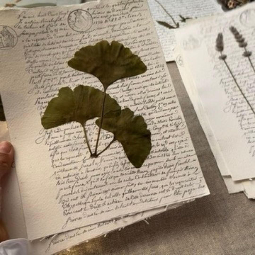 Ginkgo notarial