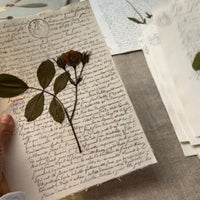 Rosa antigua notarial
