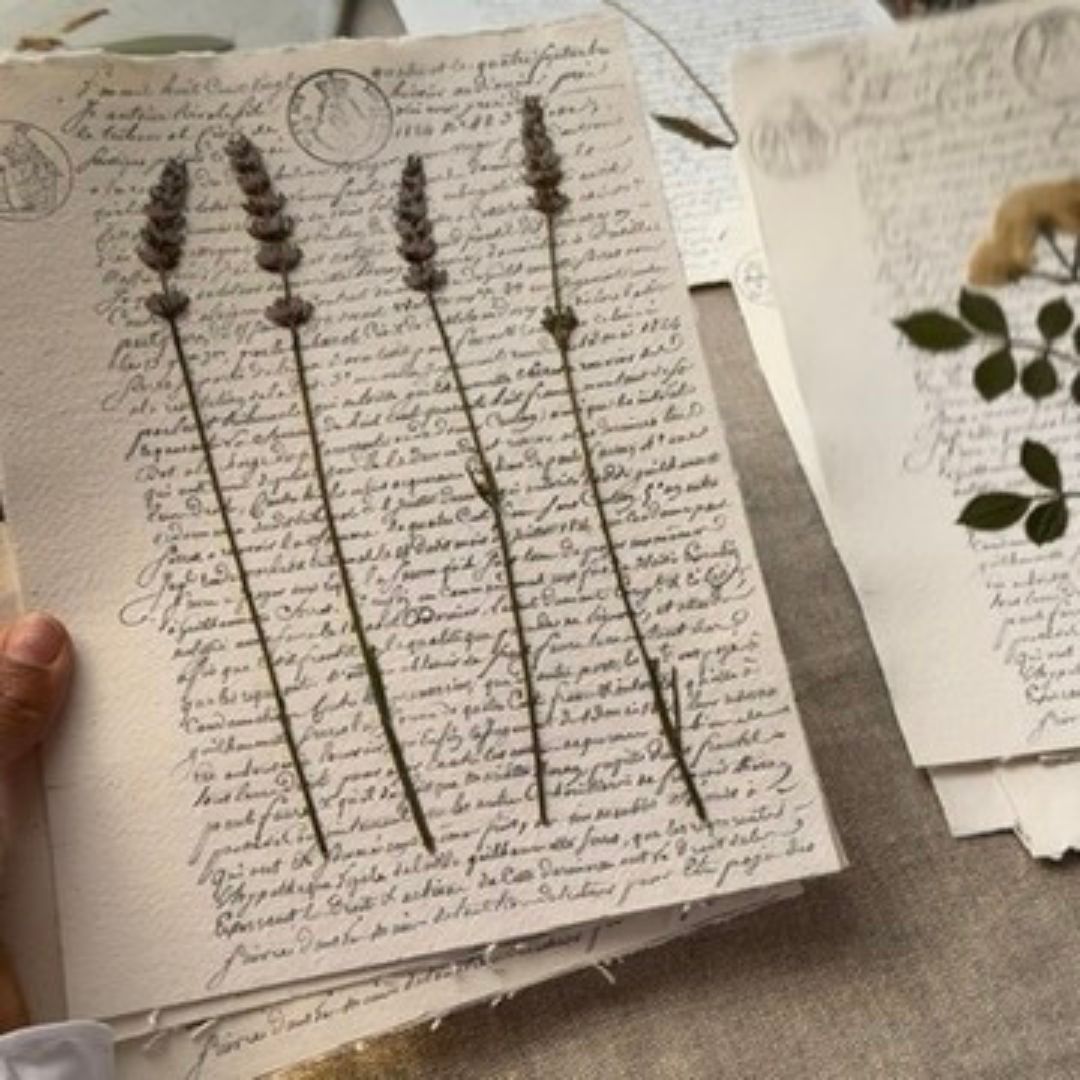 Lavanda notarial