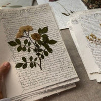 Rosita notarial