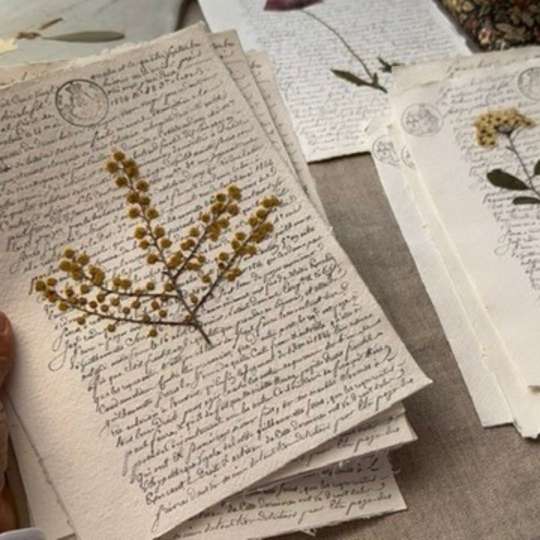 Mimosa notarial
