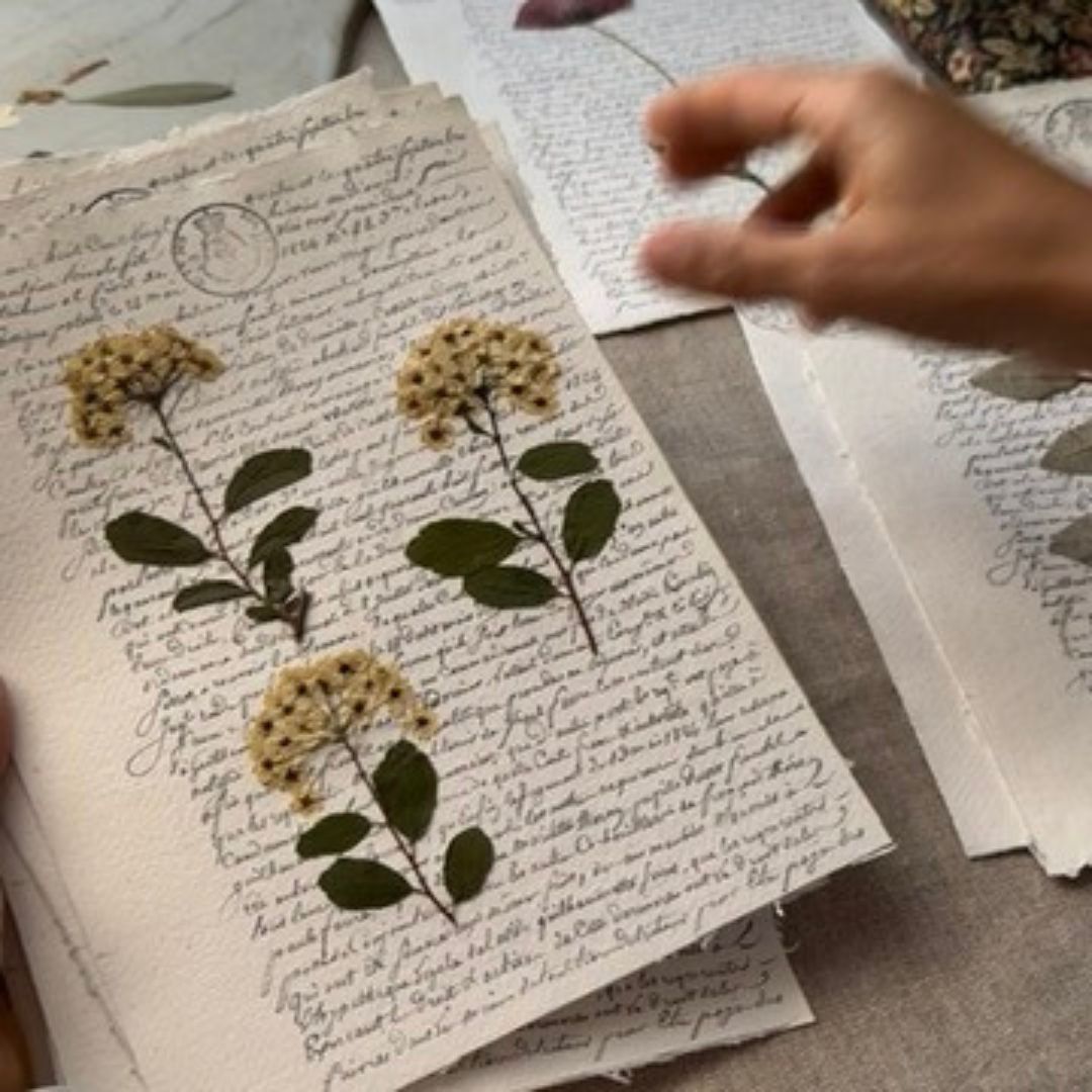 Espirea notarial