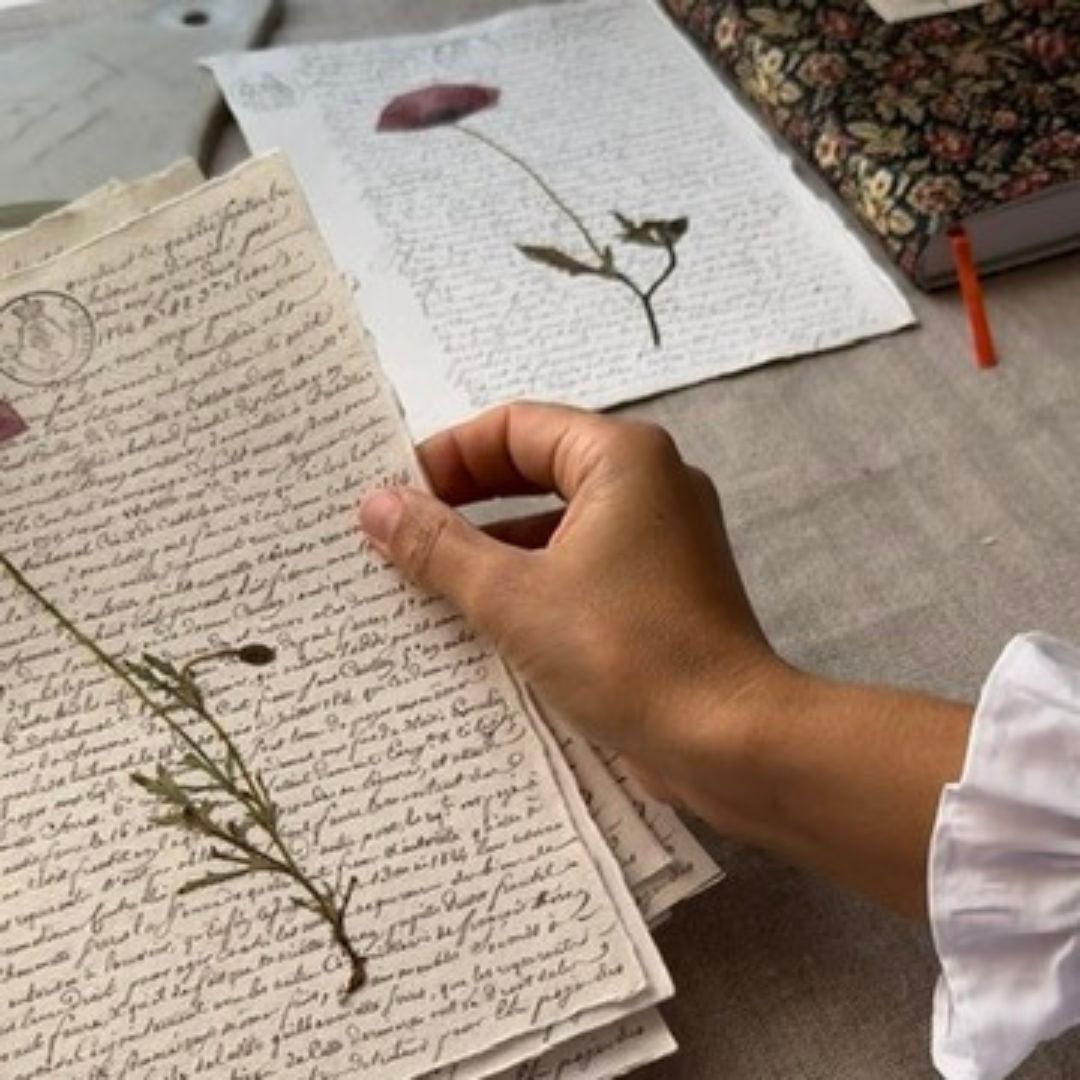 Amapola notarial