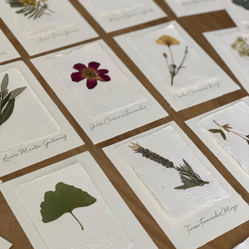 Seating plan con flores prensadas