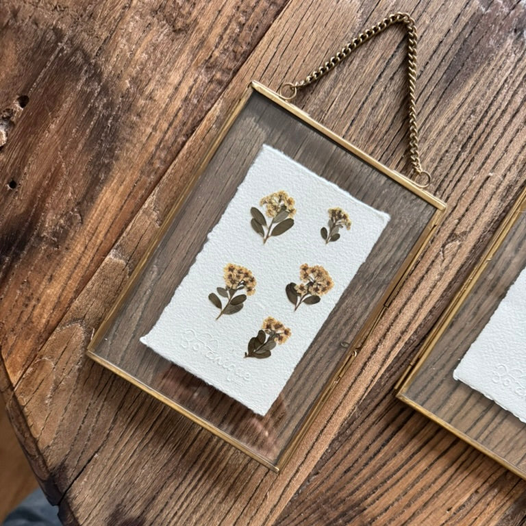 Colección cristal tamaño mediano