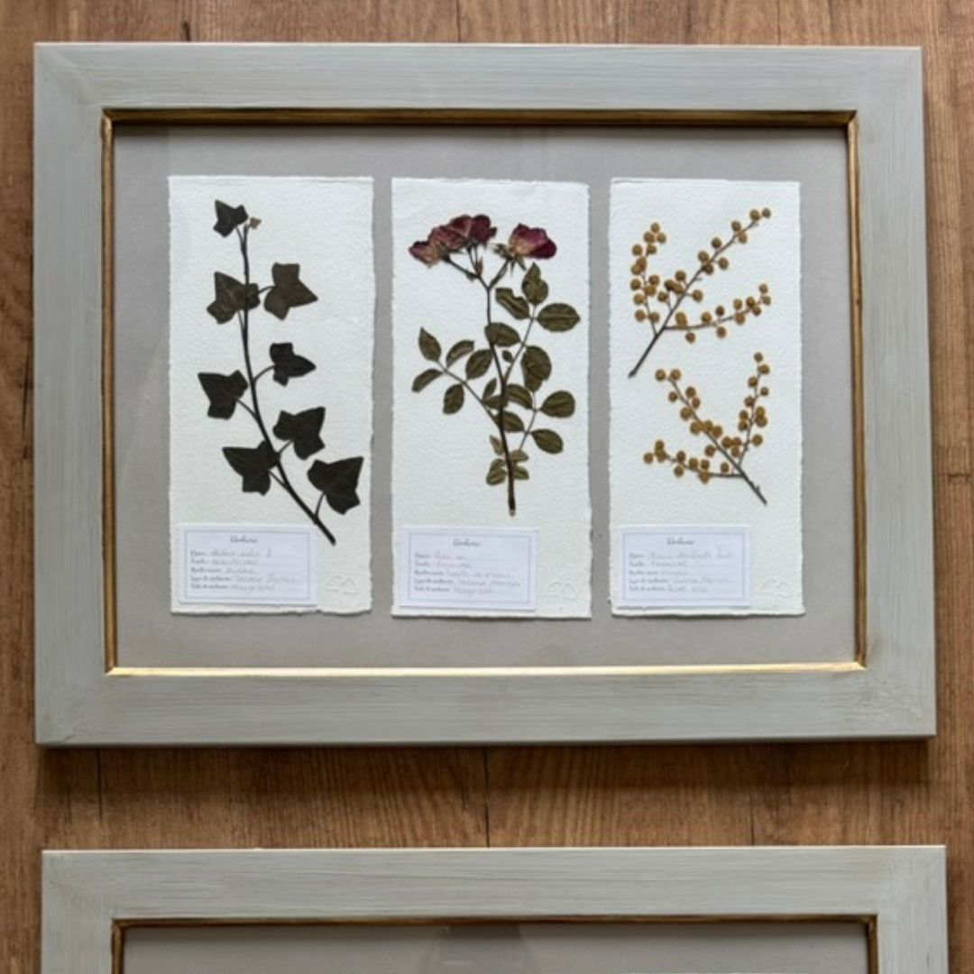 Composición Montparnasse (3 láminas)