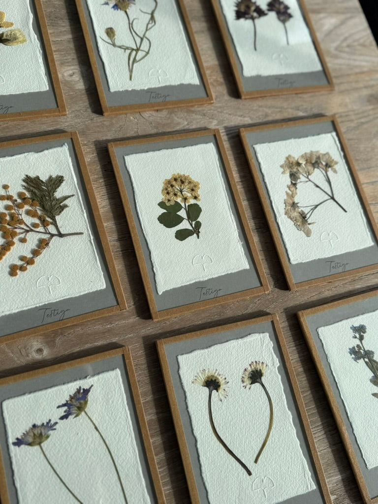 ¿Quieres ser mi  testigo ? Enmarcado