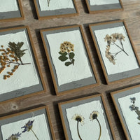 ¿Quieres ser mi  testigo ? Enmarcado