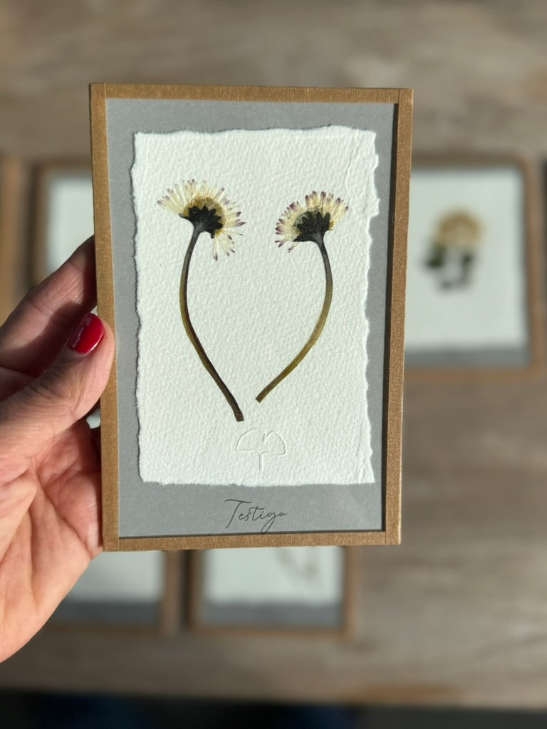 ¿Quieres ser mi  testigo ? Enmarcado