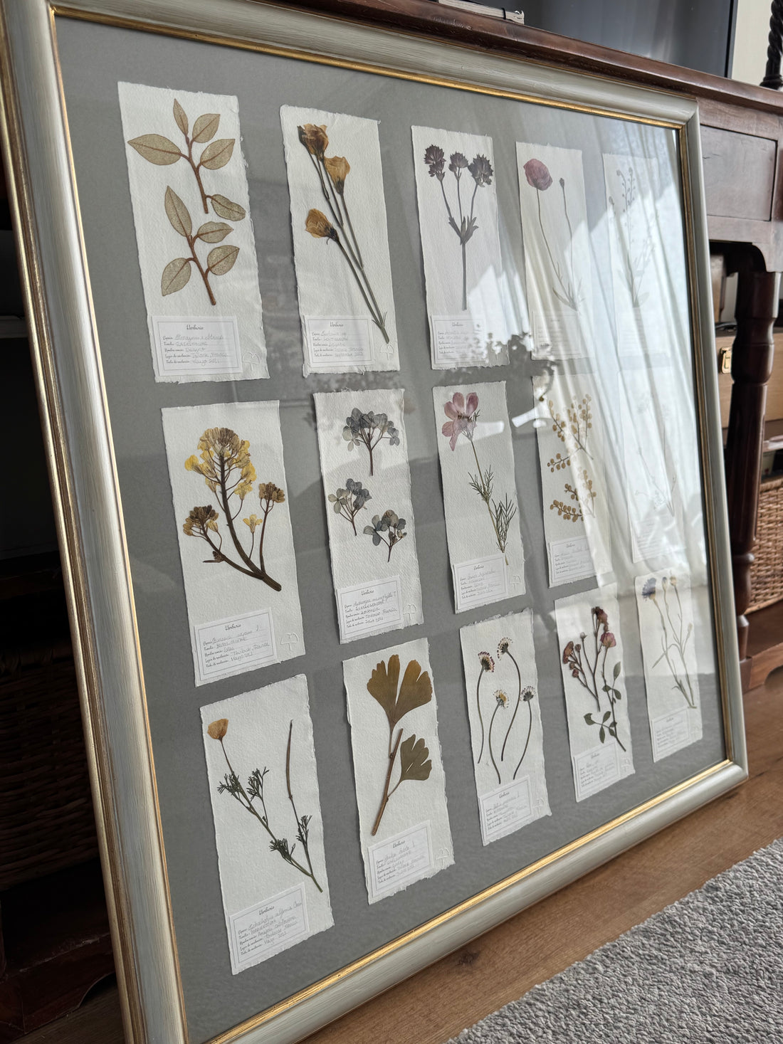 Colección Montparnasse