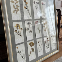 Colección Montparnasse